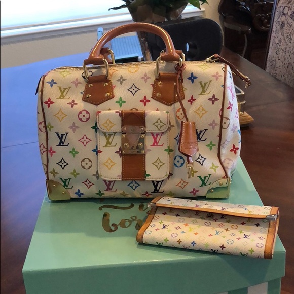 Louis Vuitton Handbags - Louis Vuitton Multicolor 30 & Louis Vuitton wallet